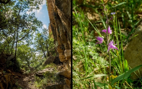 Uno de los paseos desde tu puerta